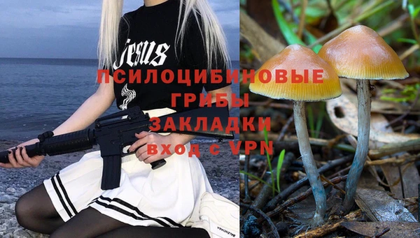 гашик Абинск
