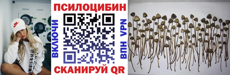 Галлюциногенные грибы ЛСД  Нижняя Тура 