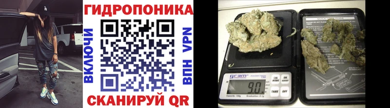Шишки марихуана Bruce Banner Нижняя Тура